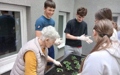 ULJEPŠAVANJE VRTA U DOMU ZA STARIJE OSOBE DUBRAVA